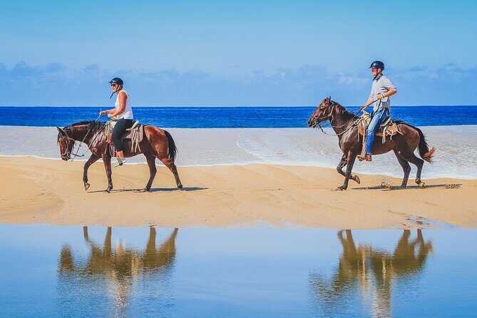 Los Cabos Horseback Riding - The Guides and Group Experience