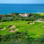 Los Cabos Luxury Private Tesla Transfer from Airport to Puerto Los Cabos Area - What the Price Gets You