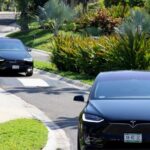 Los Cabos Luxury Private Tesla Transfer from Airport to Tourist Corridor Area - The Experience at the Airport