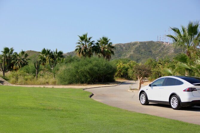 Los Cabos Luxury Tesla Transfer from Airport to San José del Cabo Area - Authentic Feedback and Real Experiences