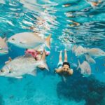 Los Cabos Platinum Snorkel Experience - The Sum Up