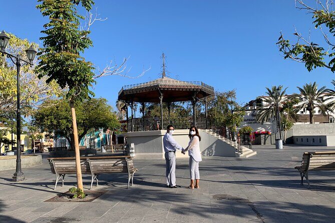 Los Cabos Private Chauffeur Service - Who Should Book This?