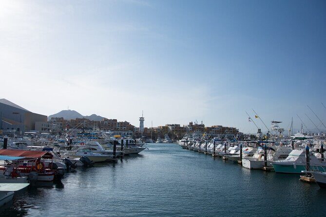 Los Cabos Private City Tour with Guide - The Sum Up