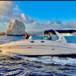 Los Cabos Private Yacht Whale Watching Tour, Snorkel and Drinks - Real Guest Insights