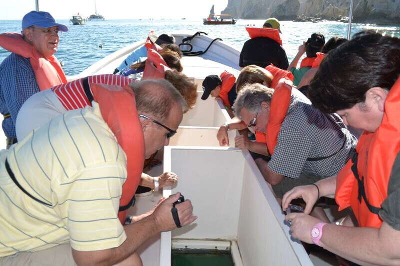 Los Cabos: San Jose and San Lucas Trip with Lunch - Practical Considerations and Value