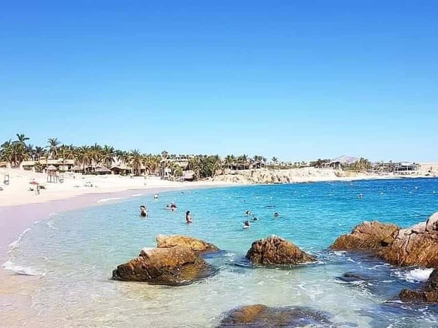 Los Cabos: Santa Maria & Chileno Bay Snorkel Adventure - The Itinerary in Detail
