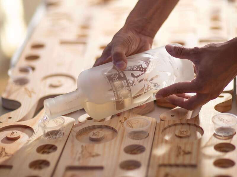 Los Cabos: Tacos & Tequila Tasting Sailboat Tour - Authentic Experiences and Traveler Insights