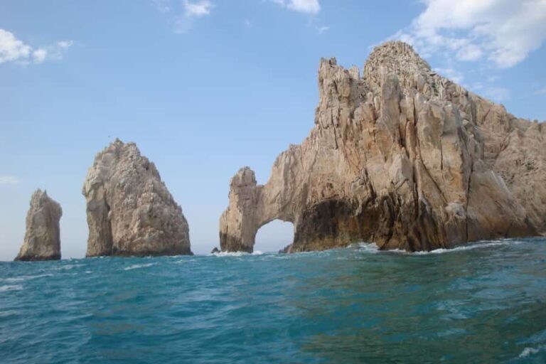 Los Cabos: Whale Watching Tour with Tequila Tasting - The Boat and Wildlife Viewing