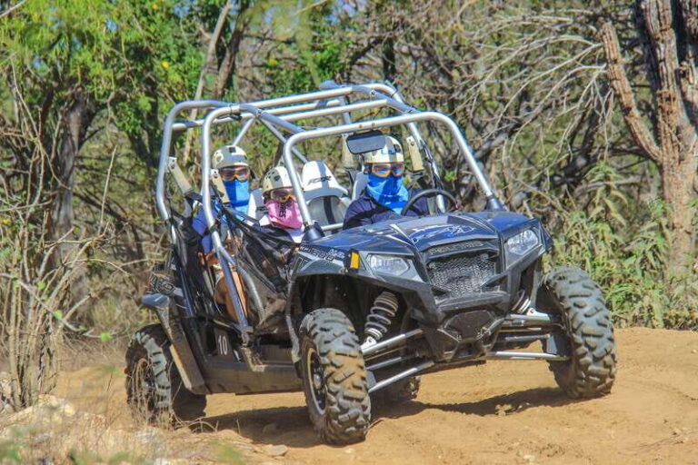 Los Cabos: Zip Lines and UTVs with Mexican Lunch and Drinks - The Adventure Itself: Activities and Highlights