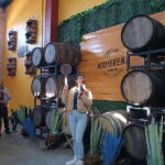 Lots of party: Have fun at "La Aguirreña" factory - An In-Depth Look at the Tour Experience