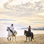 Love is in the air! Private horseback ride on the beach and sunset dinner! - Authentic Reviews Speak Volumes