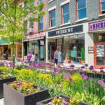 Love Struck Strolls Private Tour: Ithacas Romantic Walk - What Makes This Tour Stand Out?