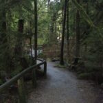 Love the Land Indigenous Walking Tour Capilano River Hatchery - Why This Tour Works for You