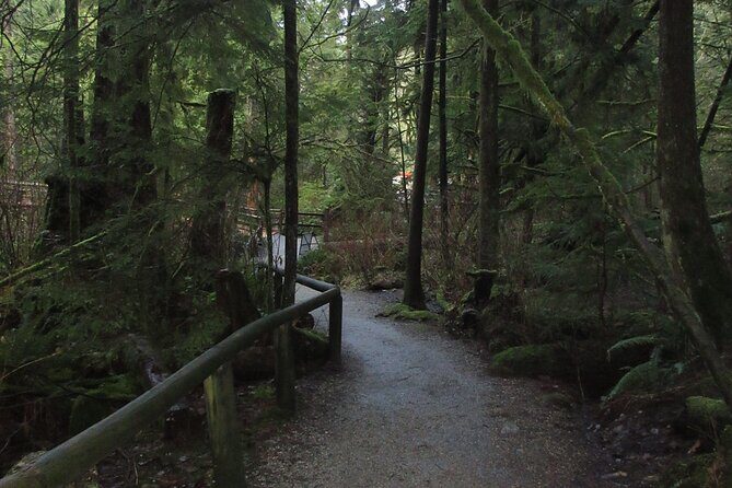 Love the Land Indigenous Walking Tour Capilano River Hatchery - Why This Tour Works for You