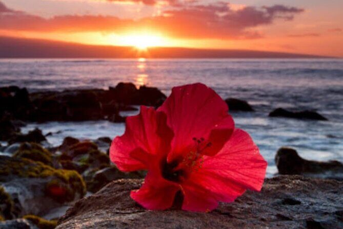 Luxury Airport Transfer in Hawaii - Final Thoughts