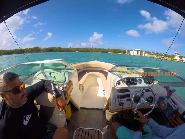 Luxury private tour boat 6 in 1 - What Travelers Say: Pros and Cons