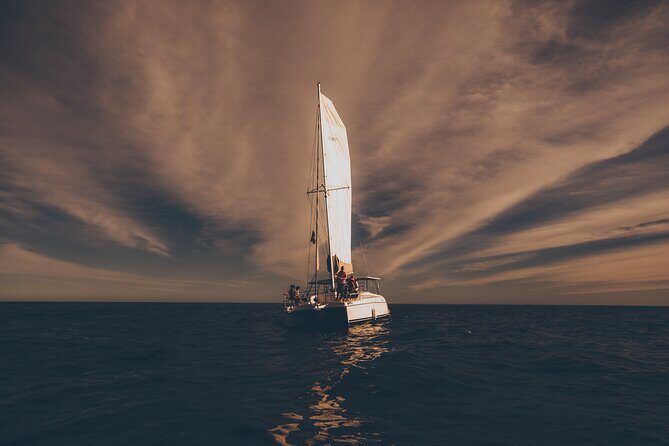 Luxury Sailing Whale Watch and The Arch (Dec 15 - Apr 15) - What the Reviews Say