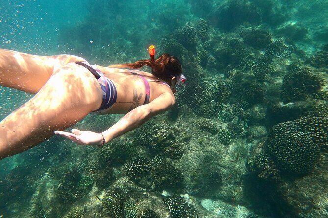 Luxury Snorkel Adventure in Cabo - Practical Details and Tips