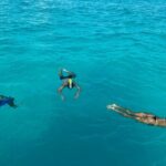 Luxury Snorkeling Excursion in Cancun  MasterCraft X-Star 2hr - What’s Included and What’s Not