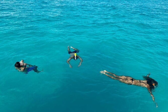 Luxury Snorkeling Excursion in Cancun  MasterCraft X-Star 2hr - What’s Included and What’s Not