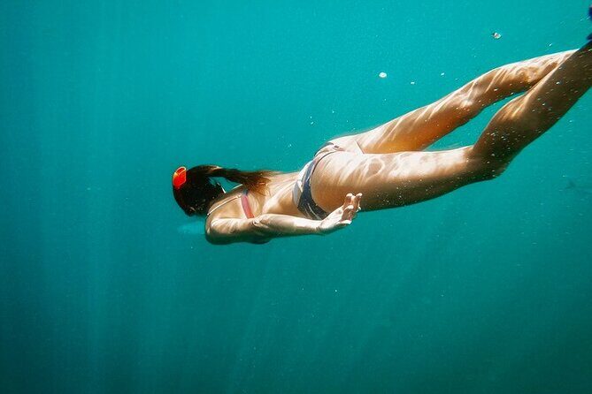 Luxury Snorkeling Tour in Cabo San Lucas - FAQs