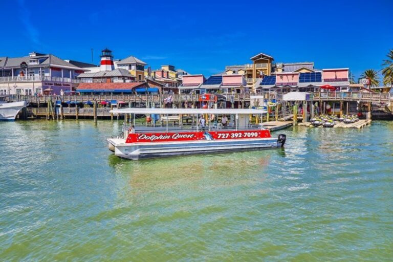 Madeira Beach: Guided Dolphin Watching Eco-Friendly Cruise - Authentic Local Experience & Why It Matters