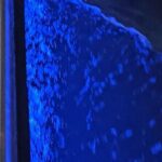 Madeira Beach Sunset Cruise Family Fun on Clean Boat - Practical Tips for Booking and Enjoying Your Sunset Cruise