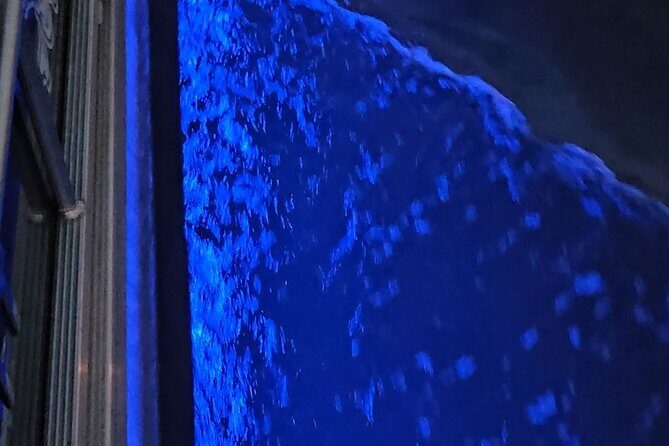 Madeira Beach Sunset Cruise Family Fun on Clean Boat - Practical Tips for Booking and Enjoying Your Sunset Cruise