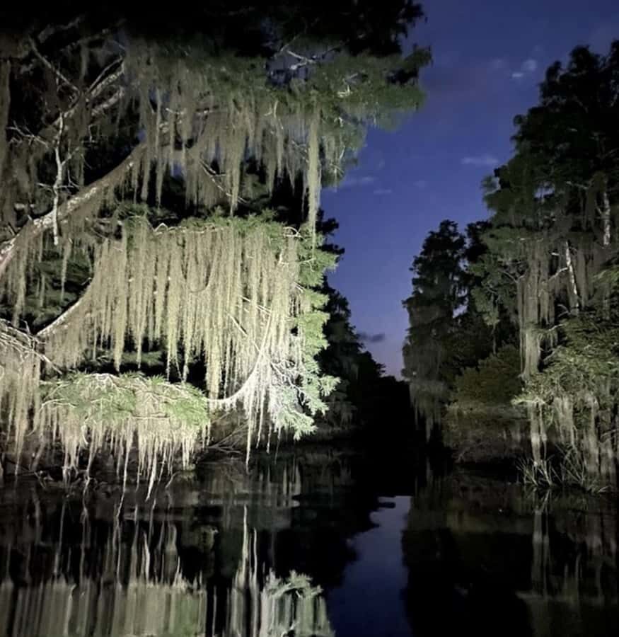 Madisonville: 2-Hour Tchefuncte River Pontoon Boat Tour - The Sum Up