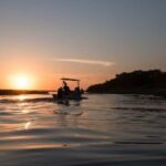 Magic Night in the Lagoon of Manialtepec Bioluminescence - Practical Tips for Participants