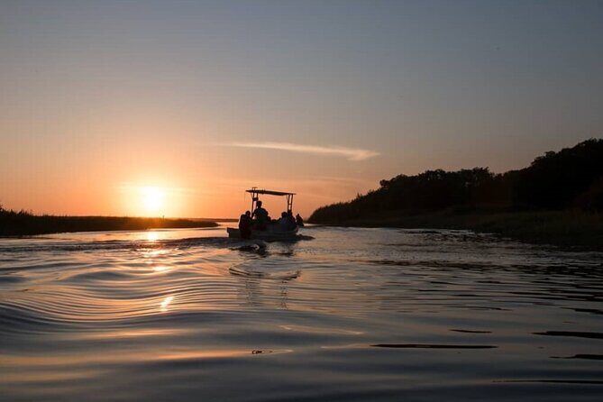 Magic Night in the Lagoon of Manialtepec Bioluminescence - Practical Tips for Participants