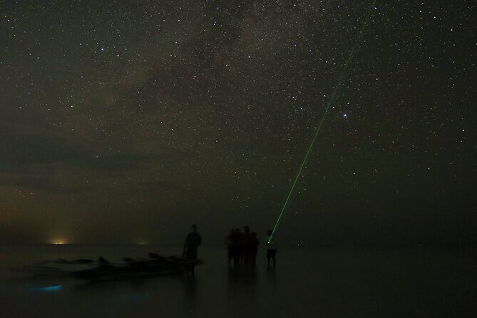 Magic Night of Stargazing and Bioluminescence - The Experience in Detail