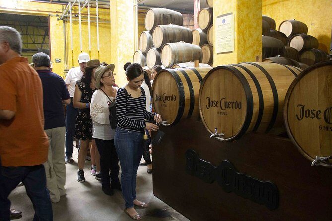 Magic Town Tequila and Agave Fields - FAQ: Practical Questions Answered