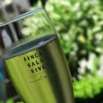 Magical Nature - FAQ