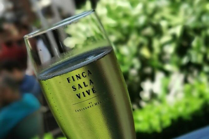 Magical Nature - FAQ