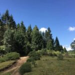 Magical Santa Clara leaving from Morelia - Transportation, Timing, and Practical Details