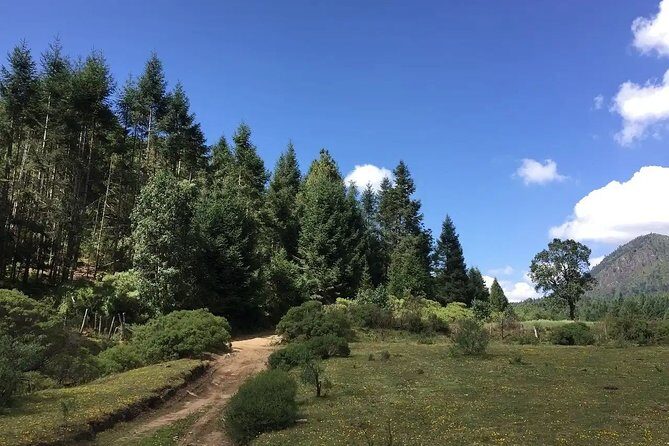 Magical Santa Clara leaving from Morelia - Transportation, Timing, and Practical Details