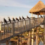 Magical Sunrise on Holbox Island VIP - Coffee & Light Breakfast - Practical Tips for Participants