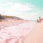 Magical Tour Las Coloradas Natural Pink Lagoon from Riviera Maya - Discovering Las Coloradas: The Pink Salt Lake