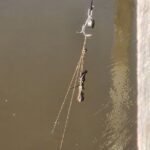 Magnet Fishing Adventure in Georgia Waterways - Timing and Tides