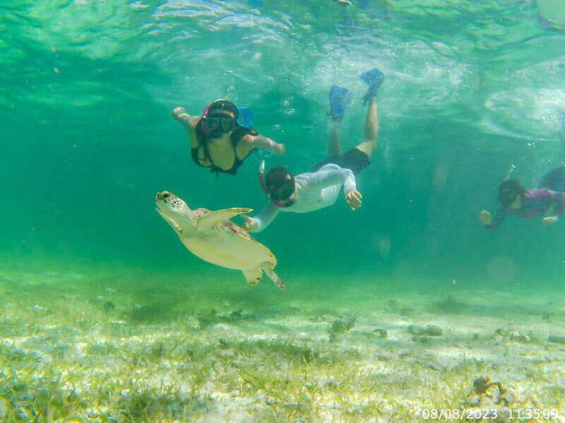 Mahahual: Snorkeling Boat Tour - Key Points