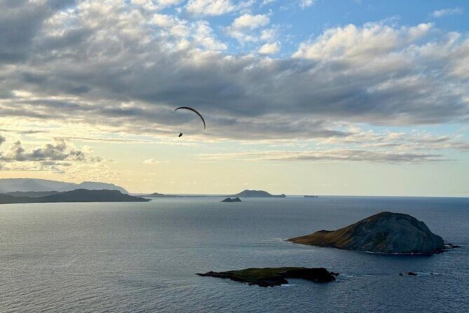 Makapu'u Point Lighthouse Guided Hike - Who Will Love This Tour?