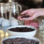 Make chocolate to take home Oaxacan style - Tasting and Creating Your Own Masterpieces