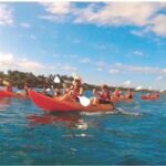 Makena Turtle Town Eco Adventure in Maui - Who Will Love This Tour?