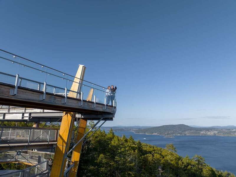 Malahat SkyWalk Ticket - Practical Details and Accessibility