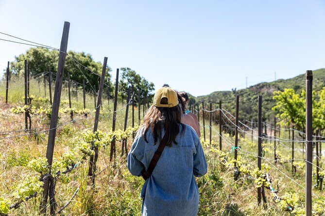 Malibu: Guided Vineyard Hike with Photo Stops and Wine - Why the Malibu Vineyard Hike Offers Value