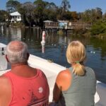 Manatee and Wildlife Boat Tour - Discovering Crystal River’s Natural Wonders