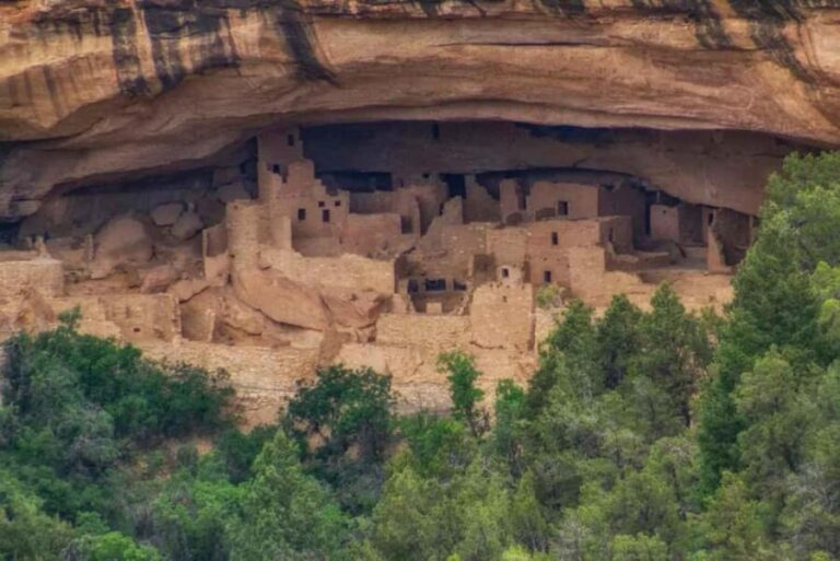 Mancos: Mesa Verde National Park Half-Day Tour - What Past Travelers Say