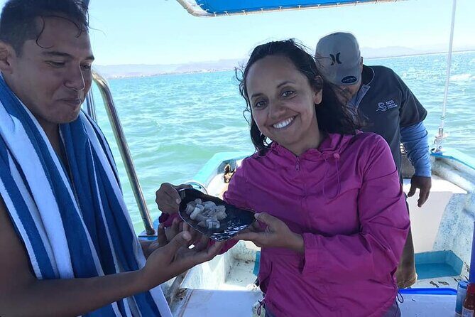 Mangrove Adventure with Snorkeling and Shellfish Tasting - Itinerary Breakdown