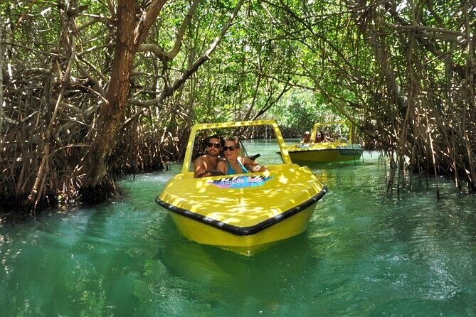 Mangrove Jungle Speedboat Experience - The Experience from Our Perspective